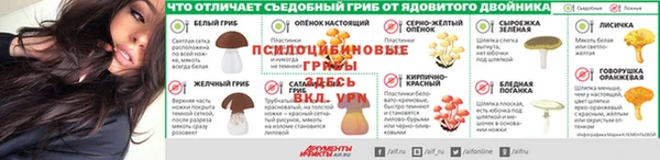 гидра Нязепетровск