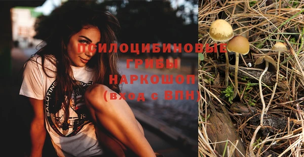 дживик Остров
