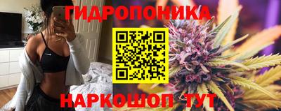 крисы Гусь-Хрустальный