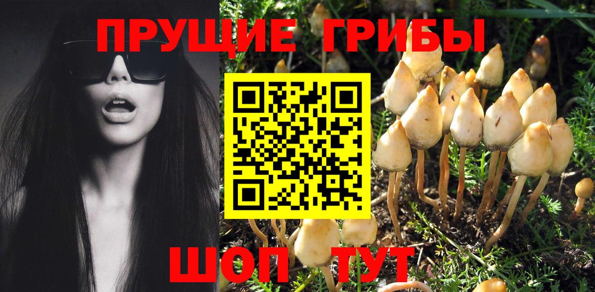 ГАШИШ  Конопля  Марки  Вход с VPN  Кашира  Мефедрон 