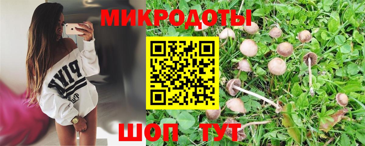 Галлюциногенные грибы Psilocybe  Вход с VPN  Псилоцибиновые грибы Psilocybe  Кашира 