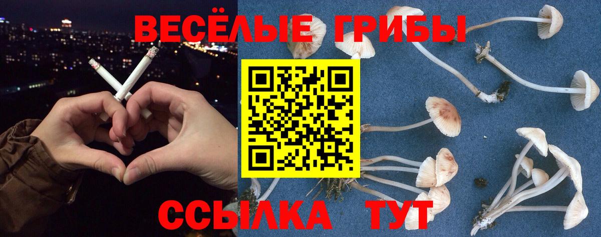 Галлюциногенные грибы ЛСД Кашира